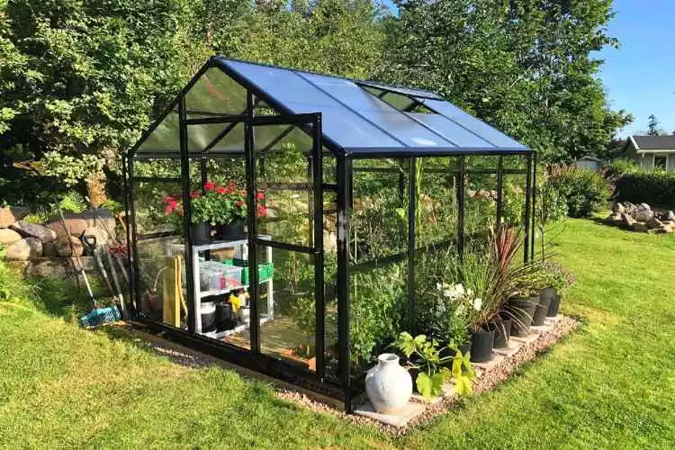 Can you use a gazebo as a greenhouse? All You should know