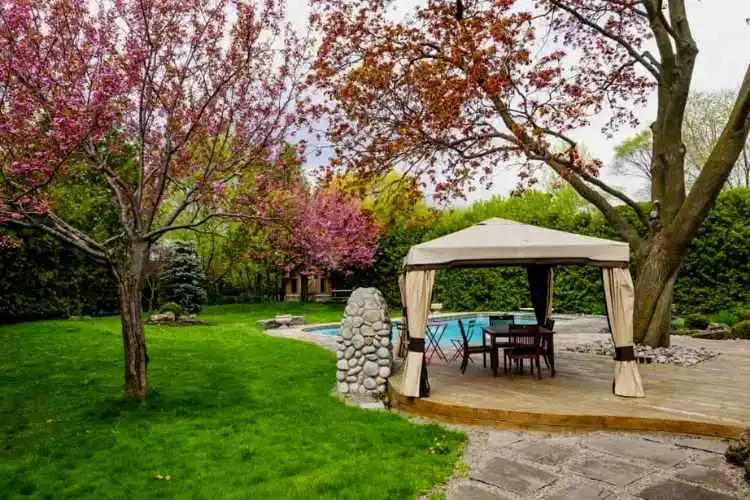 How much wind can a pergola withstand? All you need to know