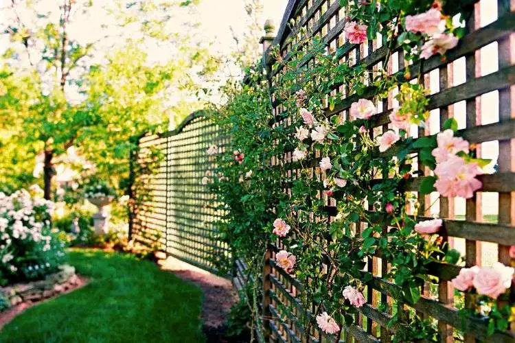 Turn it into a Decorative Fence