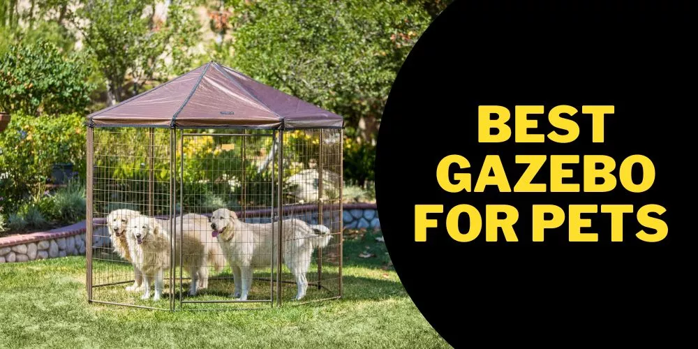 Best Gazebo for Pets (detailed guide)
