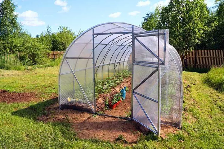 Best Walk-In Greenhouses