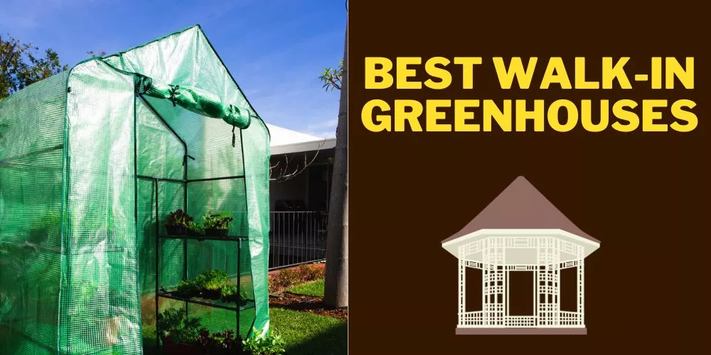 Best Walk-In Greenhouses