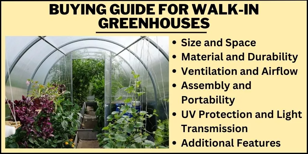 Buying Guide for Walk-In Greenhouses