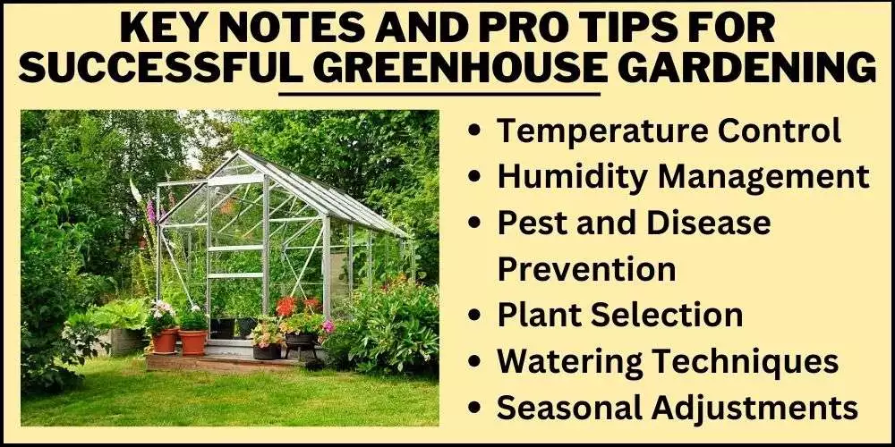 Key Notes and Pro Tips for Successful Greenhouse Gardening