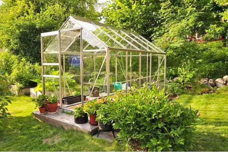 Types of walk-in greenhouses