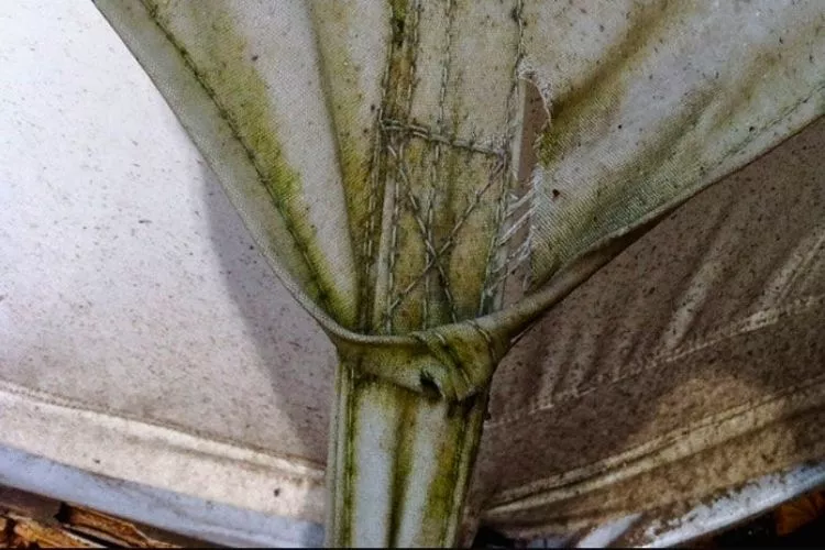 How To Clean Mold Off A Gazebo